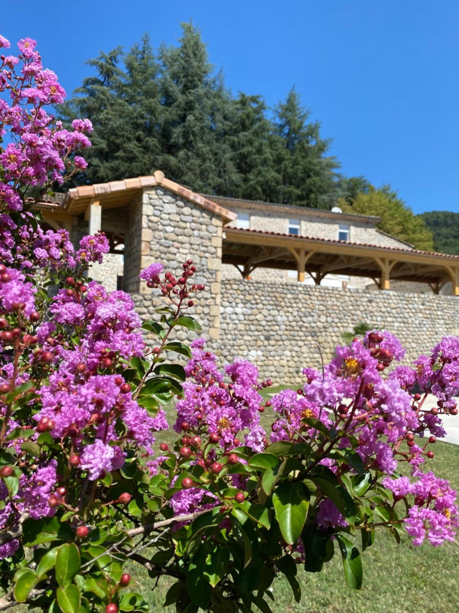 Domaine Les Buis Acomodação com café da manhã Saint-Fortunat-sur-Eyrieux Exterior foto